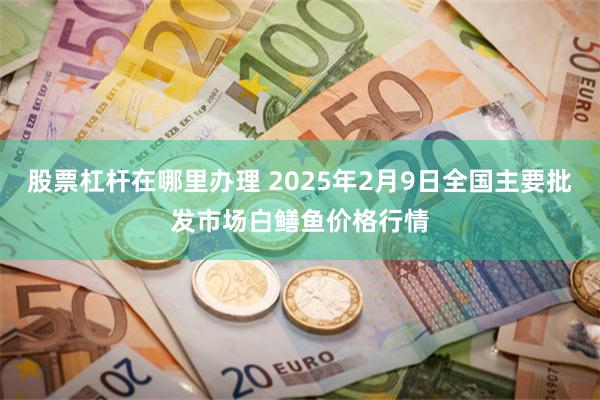 股票杠杆在哪里办理 2025年2月9日全国主要批发市场白鳝鱼价格行情
