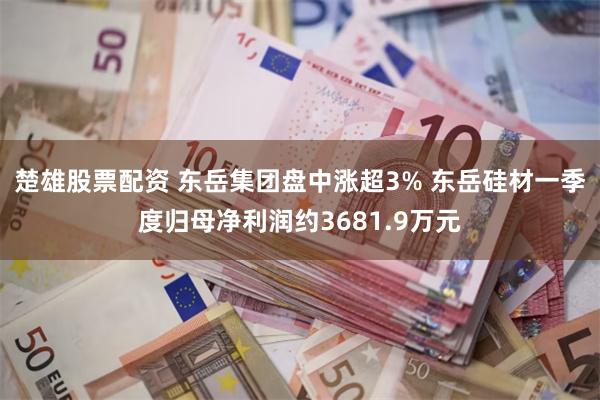 楚雄股票配资 东岳集团盘中涨超3% 东岳硅材一季度归母净利润约3681.9万元