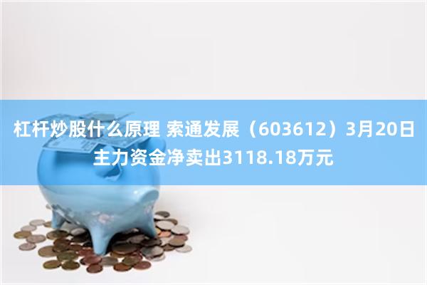 杠杆炒股什么原理 索通发展（603612）3月20日主力资金净卖出3118.18万元