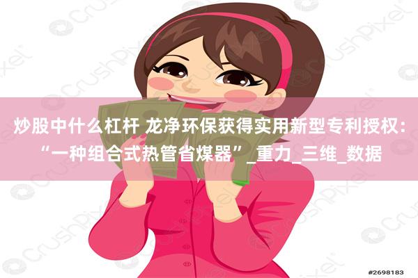 炒股中什么杠杆 龙净环保获得实用新型专利授权：“一种组合式热管省煤器”_重力_三维_数据