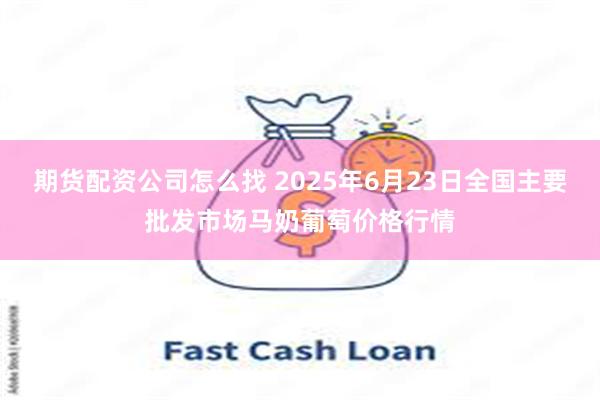 期货配资公司怎么找 2025年6月23日全国主要批发市场马奶葡萄价格行情