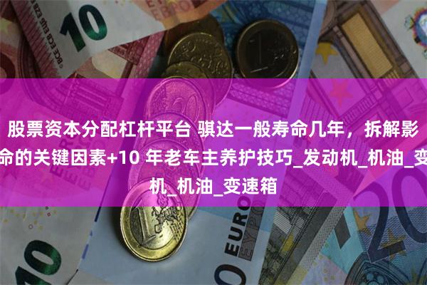 股票资本分配杠杆平台 骐达一般寿命几年，拆解影响寿命的关键因素+10 年老车主养护技巧_发动机_机油_变速箱