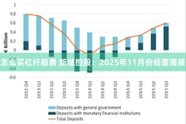怎么买杠杆股票 新城控股：2025年11月份经营简报